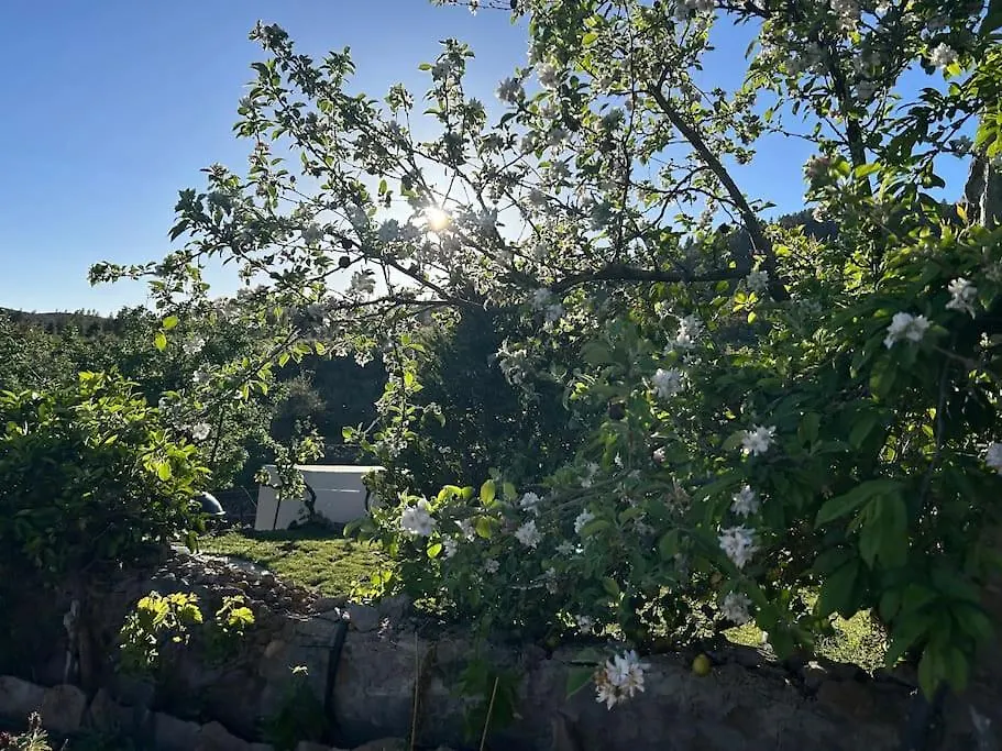 Lilly'S Finca - Romantischter Rueckzugsort - Pool Vilaflor